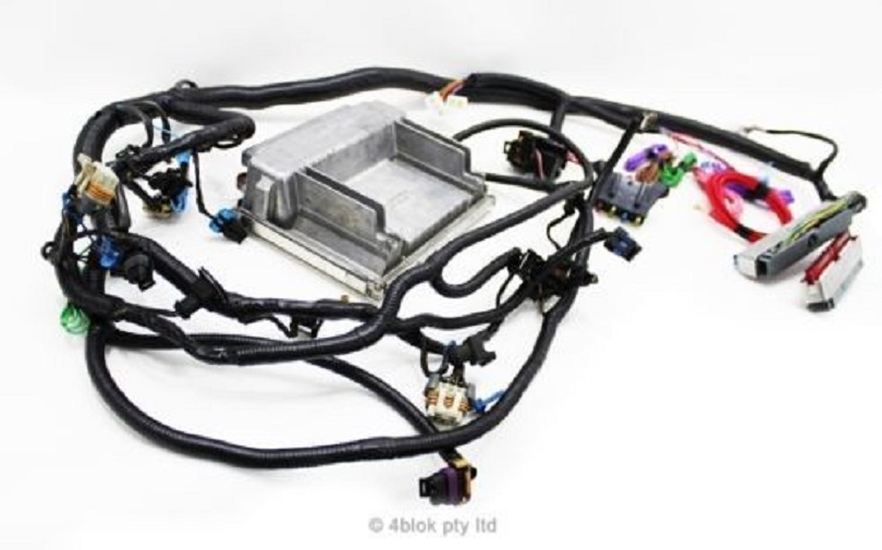 Holden HQ WB 5.7 LS1 Gen 3 Wiring Loom & ECU Conversion Custom