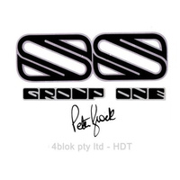 HDT VH Group One Guard Decal