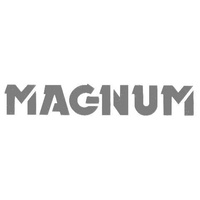 HDT VN - VP Magnum Grille Decal - Silver