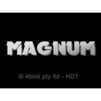 HDT Wb Magnum Large Silver - 40046LSIL