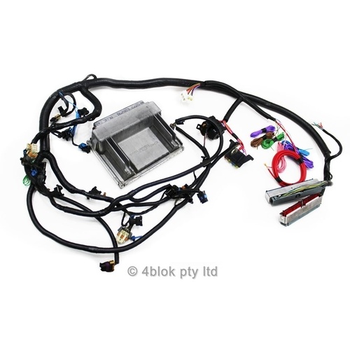 Holden HQ WB 5.7 LS1 Gen 3 Wiring Loom & ECU Conversion Custom