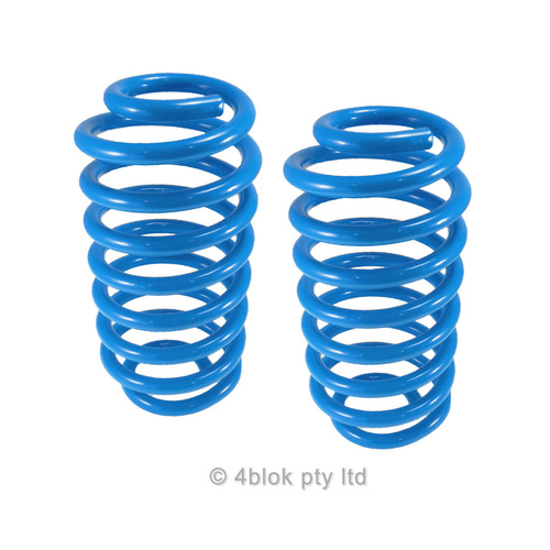 Holden Commodore VT VX VY VZ Sedan Universal Lovells Rear Sport Low