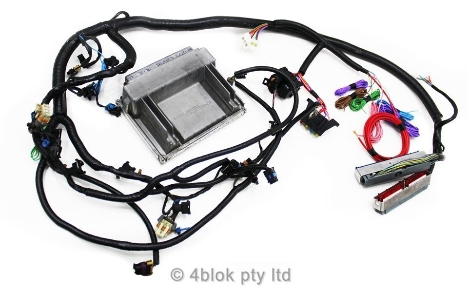 Au Falcon Wiring Diagram