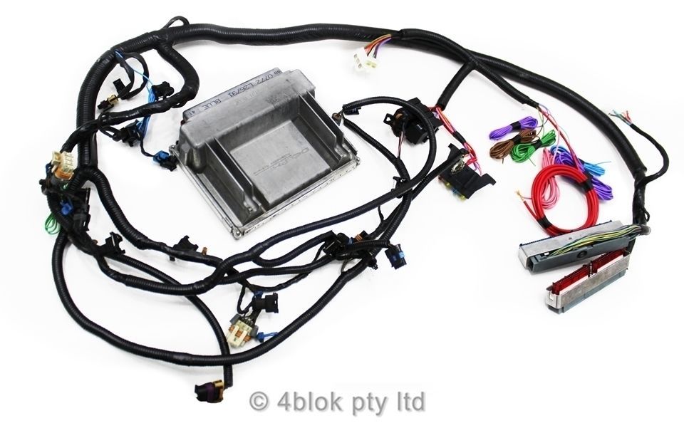 LC LJ LH LX UC 5.7 LS1 Gen 3 Wiring Loom & ECU Computer ... ls1 fuse box diagram 