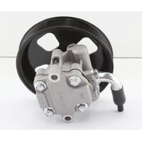 New VE WM 6.0 Litre V8 Power Steering Pump