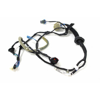 WM RHR Door Wiring Loom 