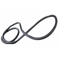 WH Passenger Left Rear Door Body Rubber Seal 