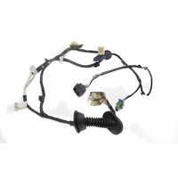 VE LHR Door Wiring Loom 