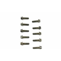 VT VX VU WH VY WK V8 5.7 Gen 3 LS1 Valley Cover Bolts Set 10 