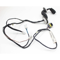 VY VZ Left Front LHF Door Wiring Loom