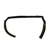 Used WM RHR Right Rear Door Glass Weatherstrip Rubber Seal 
