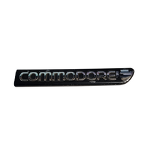 Used VR VS RH Right Front Guard Mould 