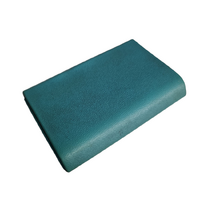 Used VL Cerulean Rear Door Ash Tray 