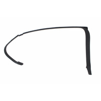VE Passenger Left Rear Door Garnish Black 