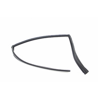 VE Sedan Passenger Left Rear Outer Door Rubber 