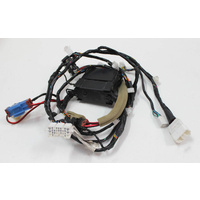 VE WM Rear Body Wiring Loom 