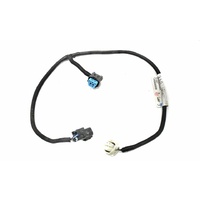 VE WM Fuel Tank Wiring Loom 