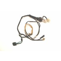 VS Rear Door Loom 