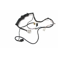 VS LHF Door Wiring Loom 