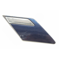 WK WL Vespers Blue Mica RHR Guard Mould 