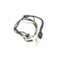VQ Rear Door Wiring Loom 