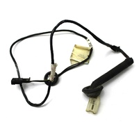 VP Rear Door Wiring Loom 
