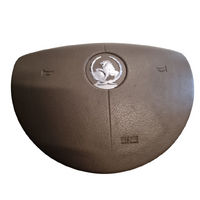 Used WL Airbag Horn Pad Light Reed