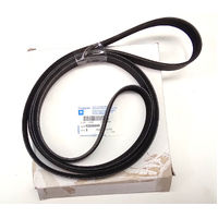 New VN VP VQ VR 3.8 Litre V6 Buick  Fan Drive Belt 