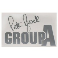 HDT VK SL Group A Guard Decal - Silver