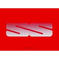 HDT VL Group 3 SS Boot Decal - Silver-40200