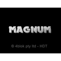 HDT Wb Magnum Small Silver - 40046SSIL