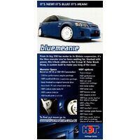 New Original HDT VC VH VK Heritage Series Retro Commodore DL Flyer 