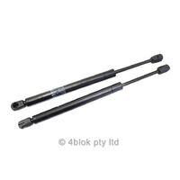 VY VZ Holden Commodore Boot Struts Pair
