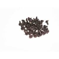 Holden Commodore VB-VZ Inner Guard Screws Bulk Packet 20 New 92138773