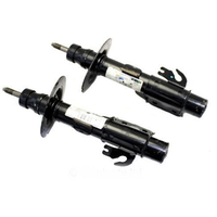 VE WM Standard FE1 Struts Pair