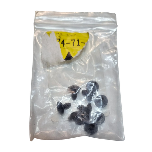 NOS VT VX WH VY V2 VZ WK WL Roof Gutter Mould Screws x 10 