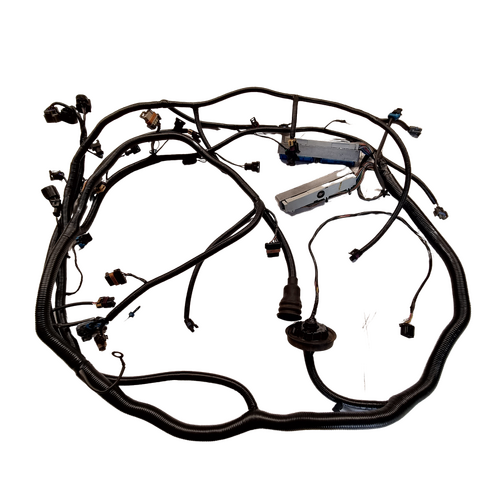 Reco Holden Commodore VT VX Engine Wiring Loom Harness 5.7 LS1 V8 Auto 92091599