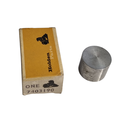NOS FB EK Rear Brake Cylinder Piston 