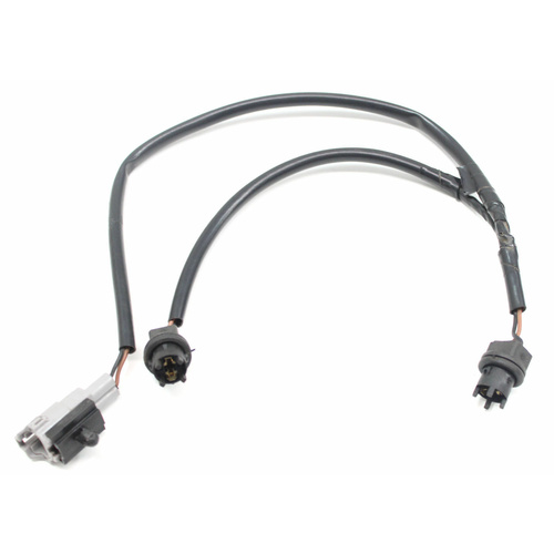 WH Number Plate Wiring Loom 