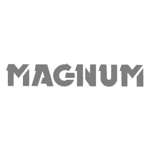HDT VN - VP Magnum Grille Decal - Silver