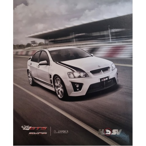 New Original VE HSV VE GTS 40 Years SV08 4 Page Fold Out Brochure