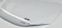 Headlight Covers